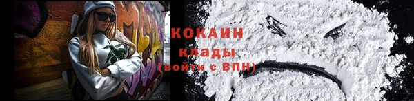 не бодяженный Заводоуковск