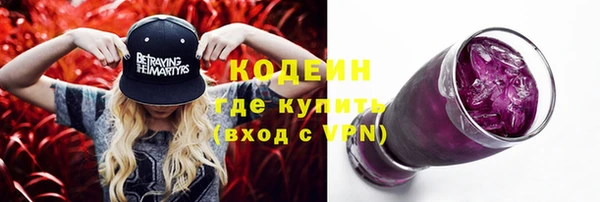 не бодяженный Заводоуковск