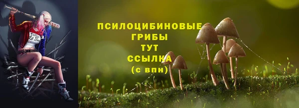mdma Заволжск