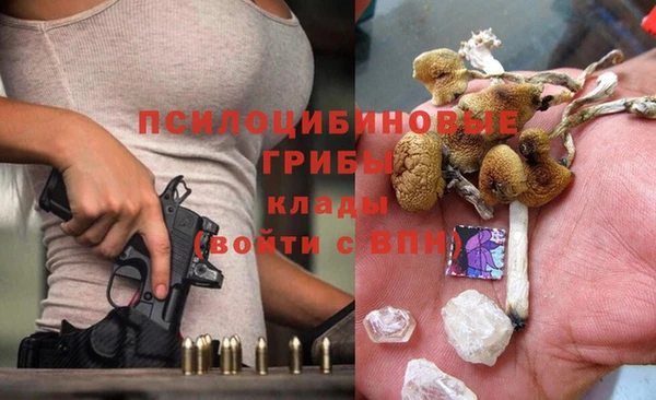 не бодяженный Заводоуковск