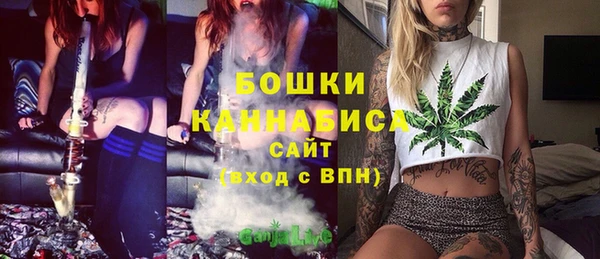 не бодяженный Заводоуковск