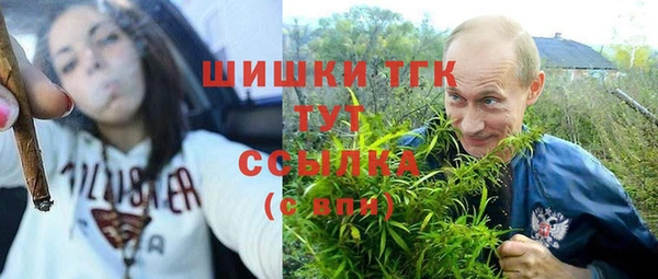 не бодяженный Заводоуковск
